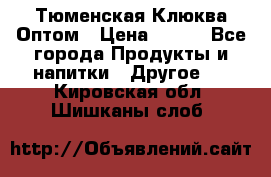 Тюменская Клюква Оптом › Цена ­ 200 - Все города Продукты и напитки » Другое   . Кировская обл.,Шишканы слоб.